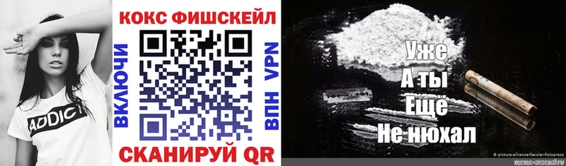 COCAIN Fish Scale  Бавлы 