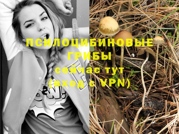 бутират Арсеньев
