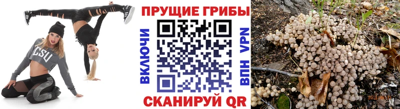даркнет сайт  Бавлы  Галлюциногенные грибы Magic Shrooms 